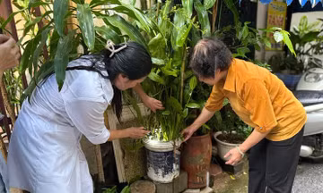 Hà Nội tích cực vệ sinh môi trường phòng dịch sốt xuất huyết