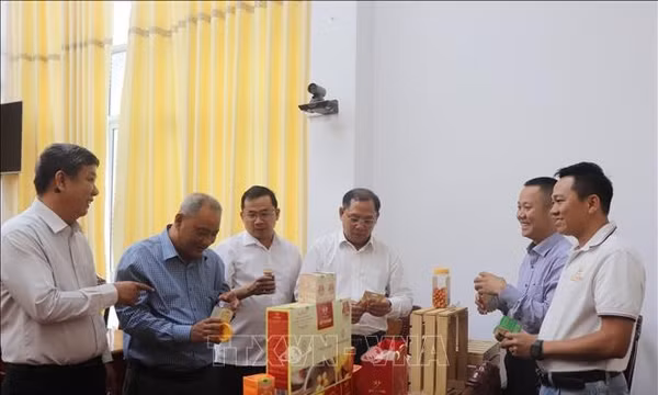 Khắc phục tình trạng sụt giảm sản phẩm OCOP