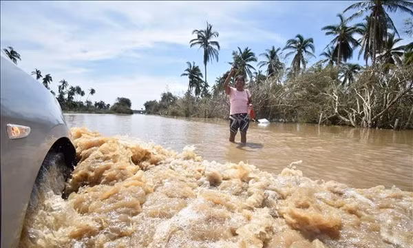 Bão mạnh áp sát, Mexico huy động hàng chục nghìn người ứng phó