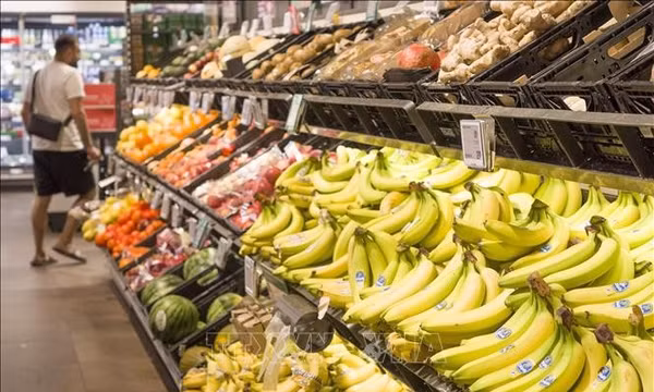 IMF cảnh báo kinh tế toàn cầu trước những cú sốc trái chiều