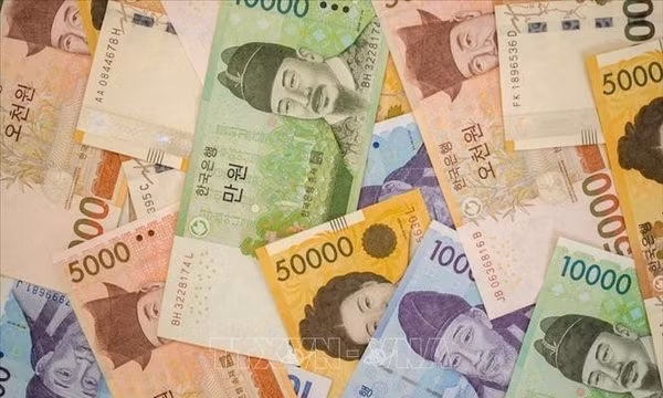 Hàn Quốc phá đường dây rửa tiền quy mô hơn 65 triệu USD