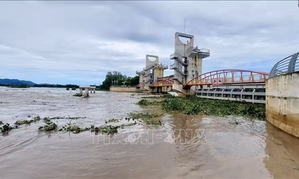 Mở cống Tha La, Trà Sư điều tiết lũ vùng Tứ giác Long Xuyên
