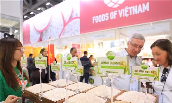 Hàng Việt tăng tốc mở rộng thị trường tại Nga