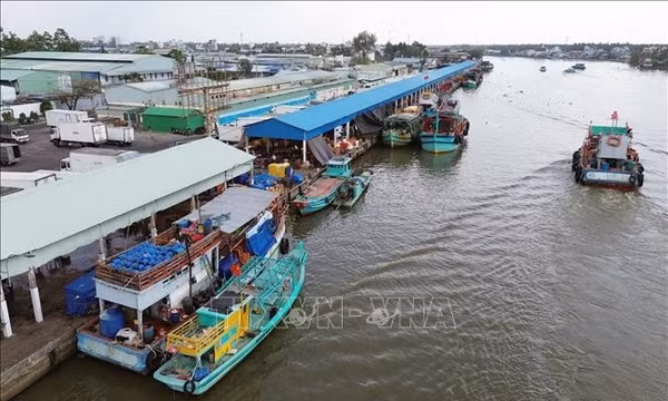Khắc phục thẻ vàng IUU: An Giang siết chặt quản lý tàu cá