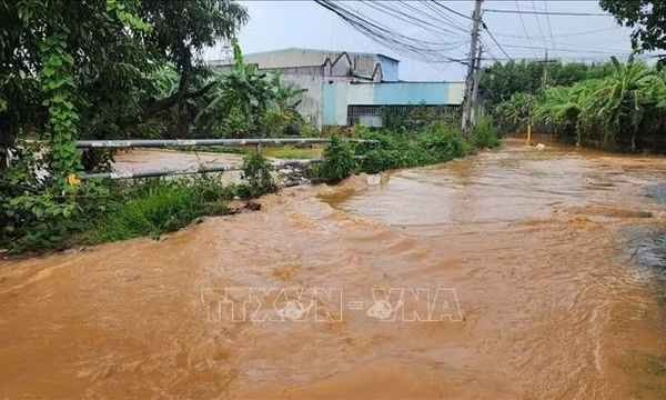 Các tỉnh khu vực Nam Trung Bộ và Nam Bộ chủ động ứng phó với mưa lớn