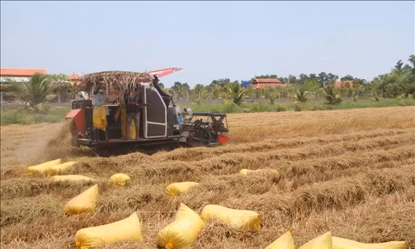 Kinh tế xanh và tuần hoàn - Chìa khóa phát triển bền vững