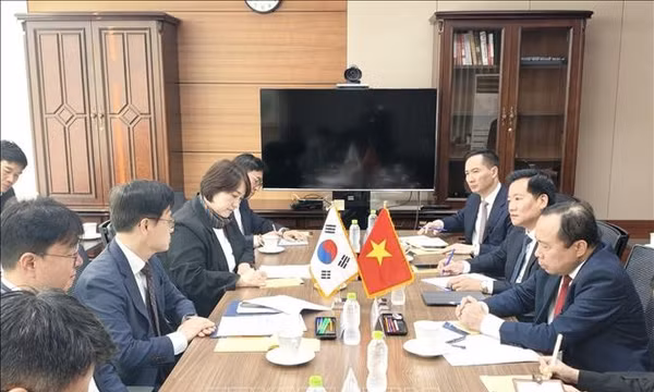 Việt Nam mở rộng hợp tác năng lượng nguyên tử và an toàn điện hạt nhân với các đối tác quốc tế