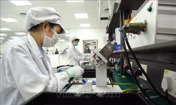 Lập BCĐ xây dựng Nghị quyết về nâng cao hiệu quả quản lý, phát huy các nguồn lực kinh tế