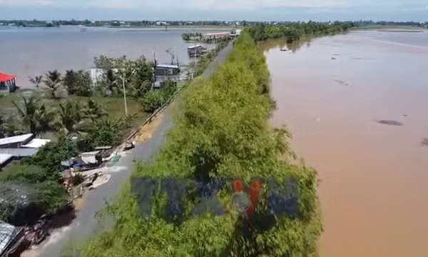 'Vành đai xanh' trên biên giới Đồng Tháp