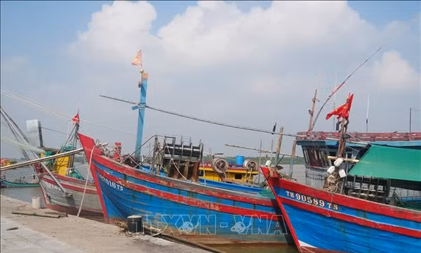Quản lý chặt đội tàu cá, truy xuất nguồn gốc thủy sản khai thác