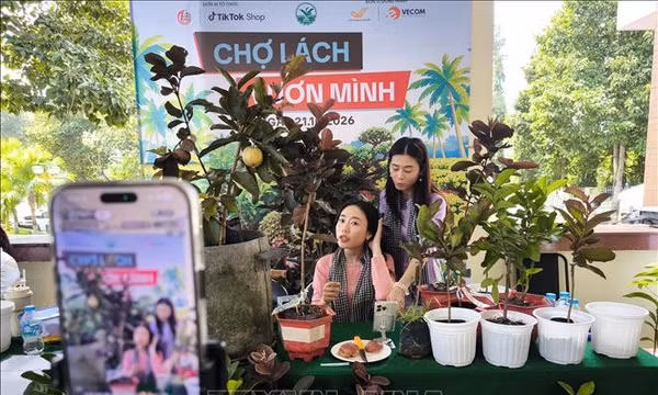 Nghị quyết 57-NQ/TW: Livestream mở lối tiêu thụ sản phẩm đặc trưng Chợ Lách