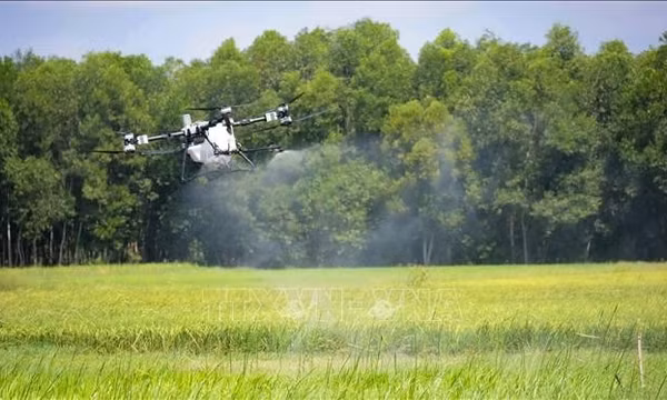 UAV giải bài toán thiếu lao động nông nghiệp