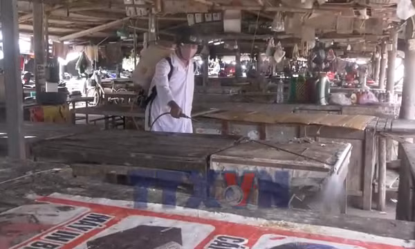 Quảng Trị chủ động phòng, chống dịch bệnh cho đàn vật nuôi sau mưa lũ
