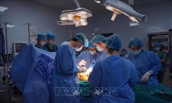 Tri ân gia đình cô giáo hiến tạng cứu người