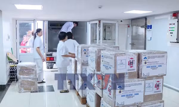 Chuyên gia quốc tế nói gì về vaccine tả lợn châu Phi của Việt Nam?