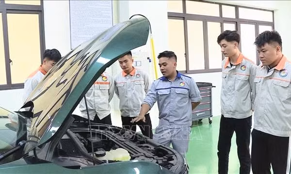 Sắp xếp mạng lưới giáo dục nghề nghiệp đáp ứng trực tiếp nhu cầu phát triển