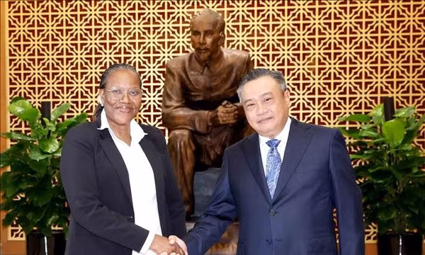 Việt Nam chia sẻ kinh nghiệm kiểm tra, giám sát với Đảng FRELIMO của Mozambique