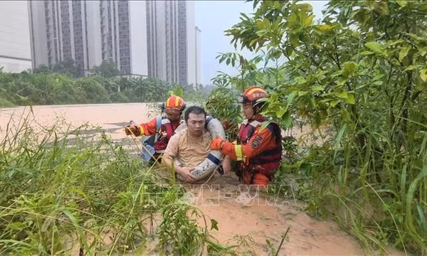 LHQ cảnh báo El Niño siêu mạnh đe dọa nghiêm trọng sức khỏe toàn cầu