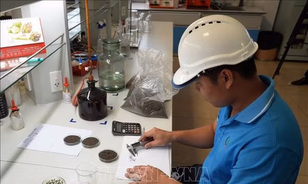 Động lực phát triển mới cho vùng Đồng bằng sông Cửu Long