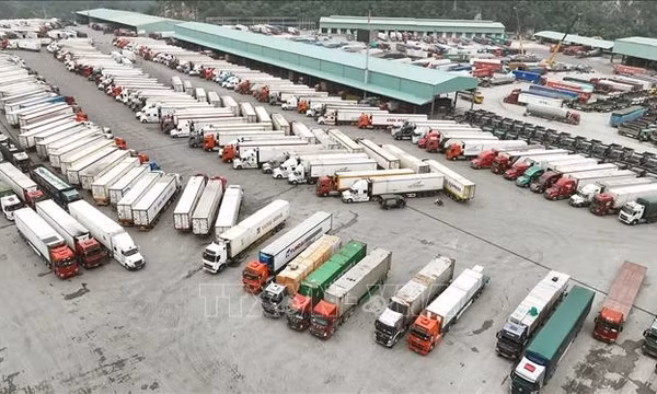 Fed tăng lãi suất: Việt Nam có đủ dư địa để ứng phó