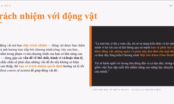 Quy định vệ sinh thú y: Hậu quả pháp lý không chỉ là tiền phạt