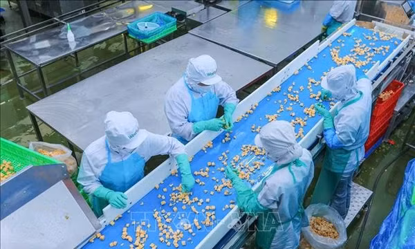 Đào tạo nhân lực số nên là khoản đầu tư chiến lược