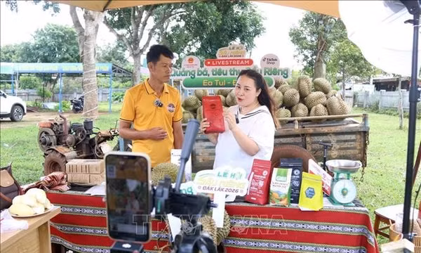 Dữ liệu liên thông: Khó giấu doanh thu, kinh doanh online phải minh bạch