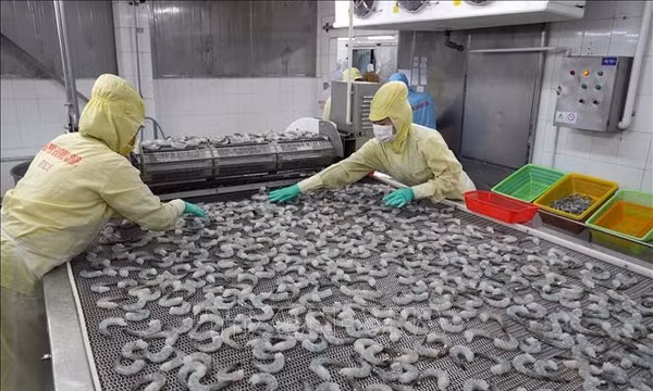 Ngân hàng giảm lãi vay thực chất, ‘không đua’ tăng lãi suất huy động