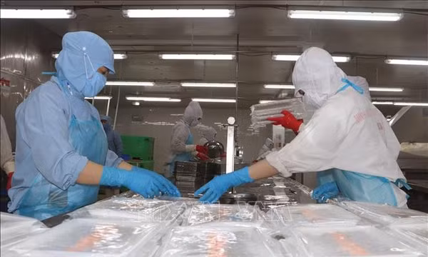 Doanh nghiệp cần vốn đúng lúc, lãi vay hợp lý để phát triển bền vững