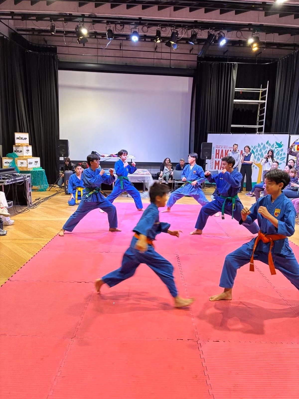 Các em nhỏ biểu diễn võ thuật Vovinam. Ảnh : BTC