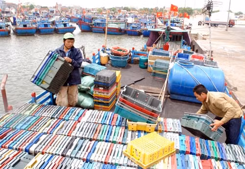 Nhộn nhịp cảng cá Lạch Bạng ảnh 4