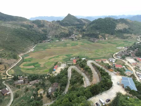Chile giúp Việt Nam trồng diêm mạch ảnh 1