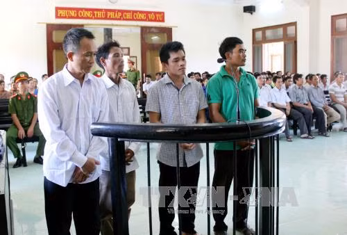 Tuyên án vụ phá rừng nghiêm trọng tại Phú Yên ảnh 1