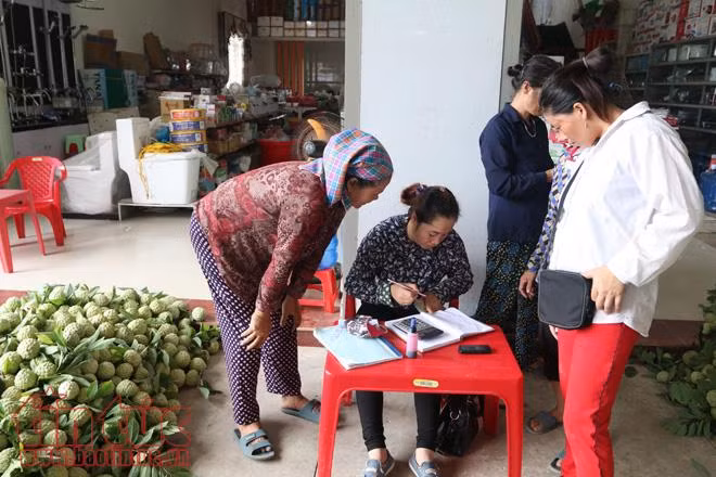 Na Huyền Sơn (Bắc Giang) được mùa, được giá ảnh 2