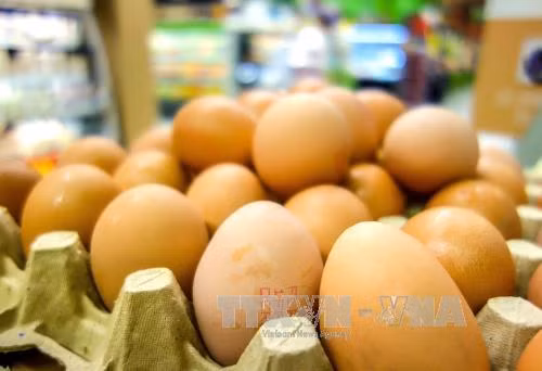 Tiết lộ mới về quy mô bê bối trứng 'bẩn' nhập khẩu Đức ảnh 1