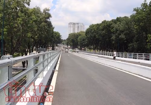 Đốn hạ 123 cây xanh giải quyết ùn tắc giao thông khu vực sân bay Tân Sơn Nhất ảnh 1
