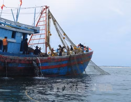 Giải pháp lâu dài để ngăn chặn khai thác hủy diệt hải sản ảnh 1