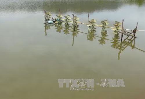 Thách thức từ cung cấp điện trong nuôi tôm tại Đồng bằng sông Cửu Long - Bài 2 ảnh 2