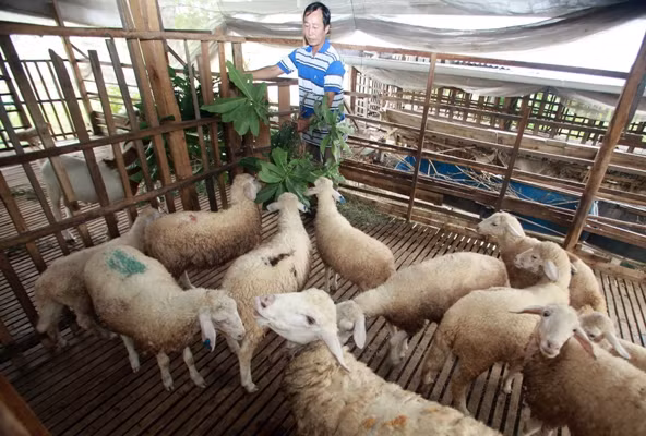 Phối hợp hiệu quả để thực hiện chính sách tín dụng ảnh 2