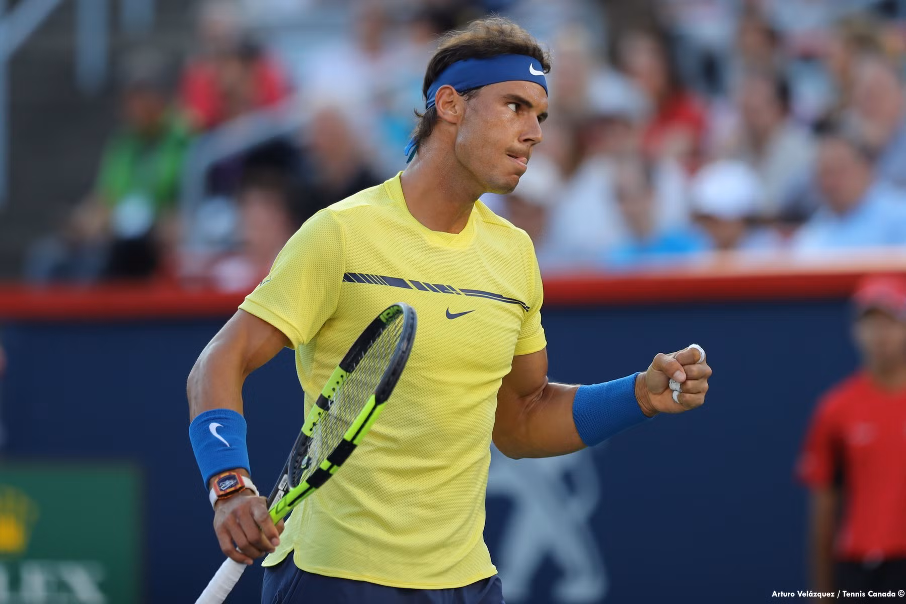 Nadal 'từ chối' ngôi vị số 1 thế giới ảnh 1