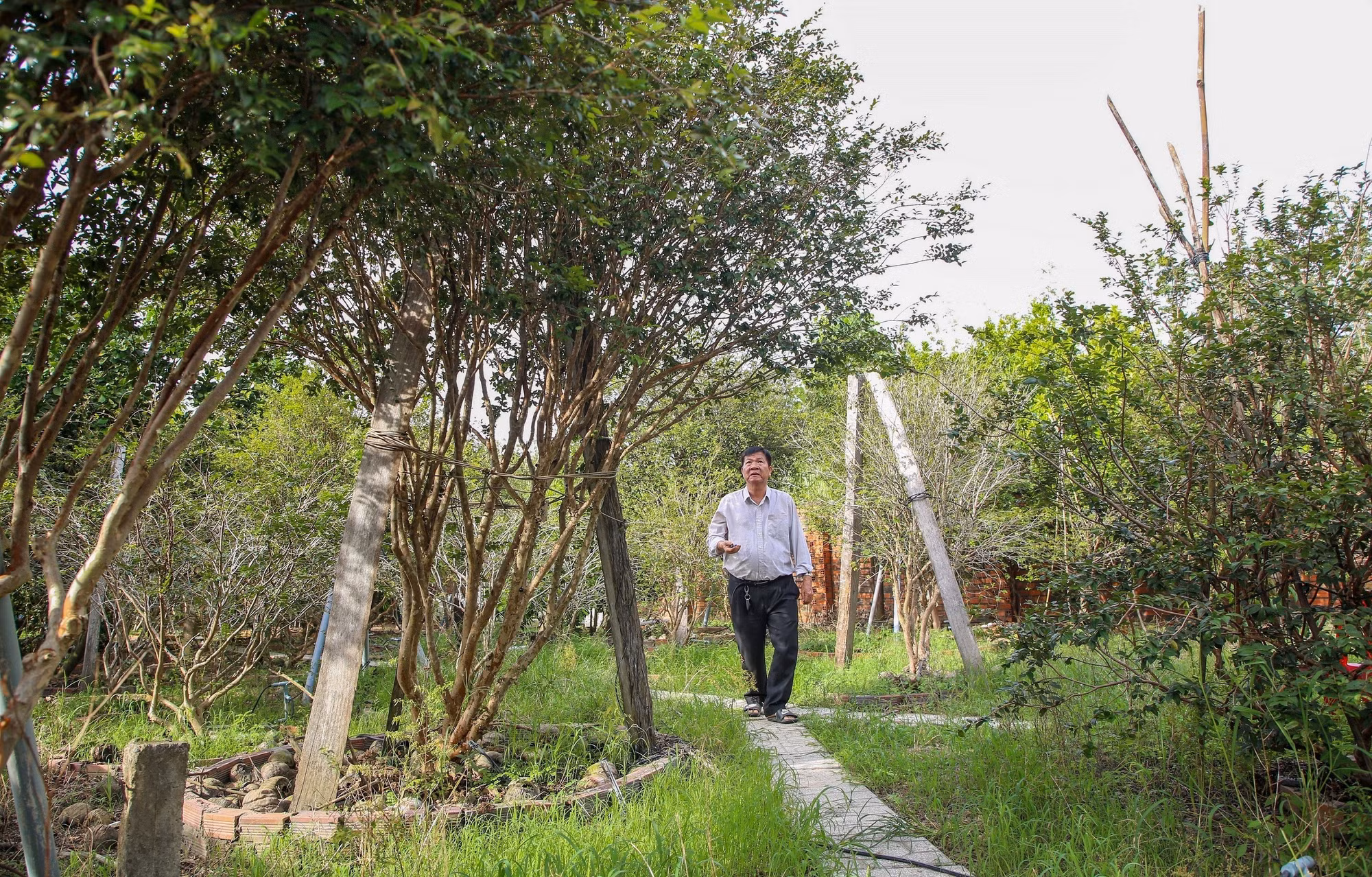 potal-tay-ninh-mo-hinh-san-xuat-nong-nghiep-sach-ket-hop-du-lich-trai-nghiem-7878279.jpg