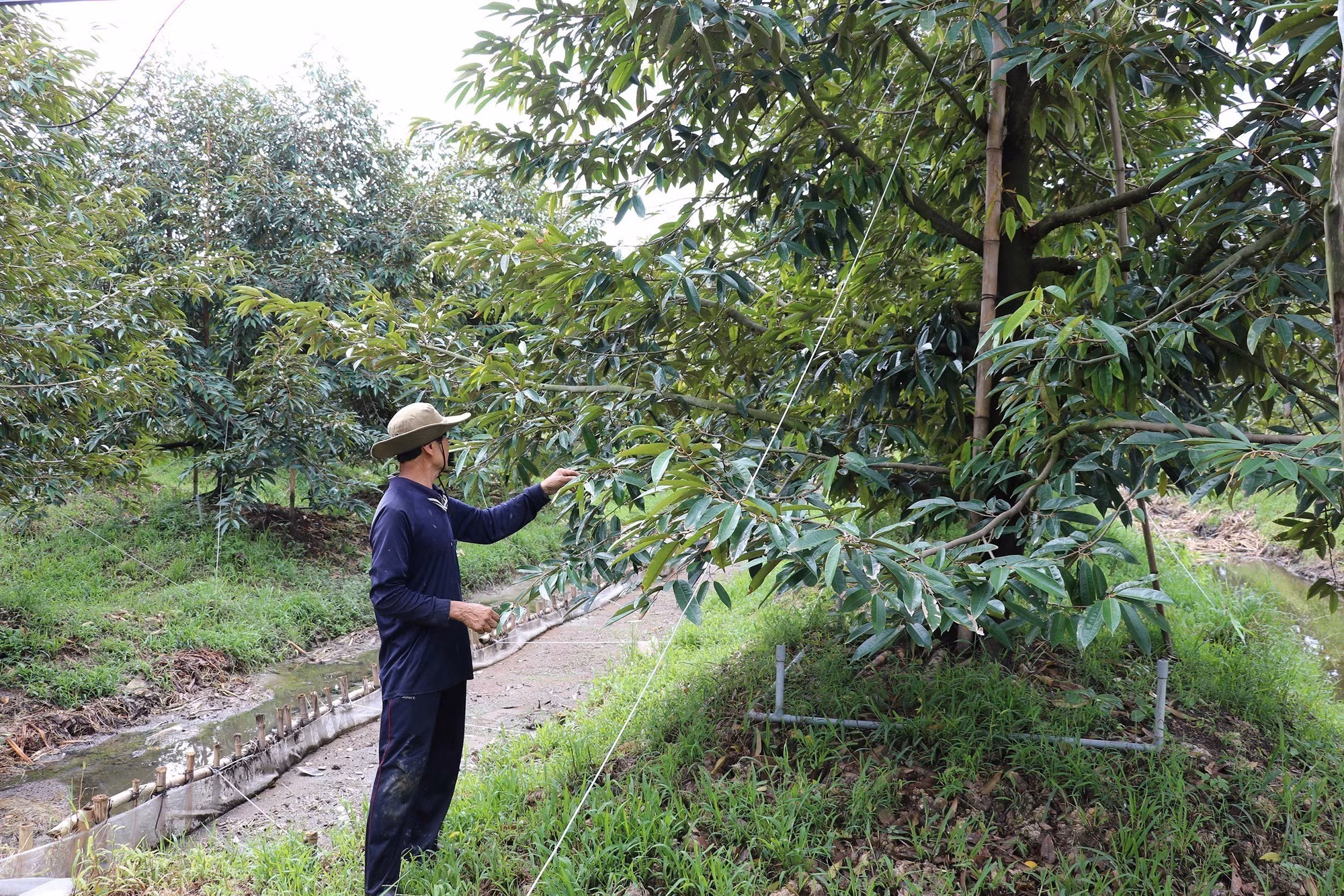 potal-phat-huy-truyen-thong-anh-hung-trong-xay-dung-nong-thon-moi-nang-cao-7783443.jpg