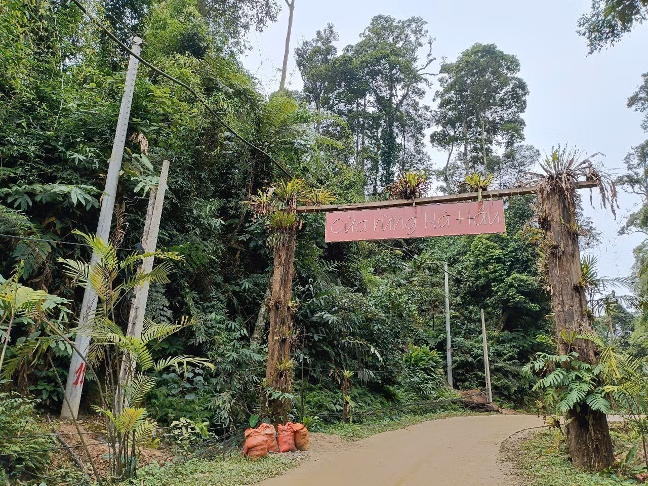 potal-tet-rung-net-van-hoa-doc-dao-cua-nguoi-mong-na-hau-7840840.jpg