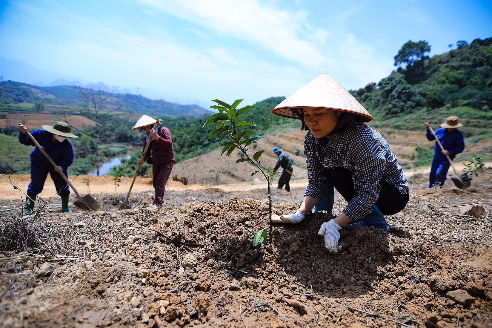 potal-nu-nong-dan-va-hanh-trinh-dua-thuong-hieu-cam-cao-phong-vuon-tam-7992903-1.jpg
