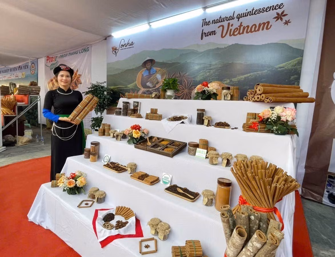 potal-nhieu-hoat-dong-dac-sac-tai-le-hoi-que-van-yen-7791289.jpg