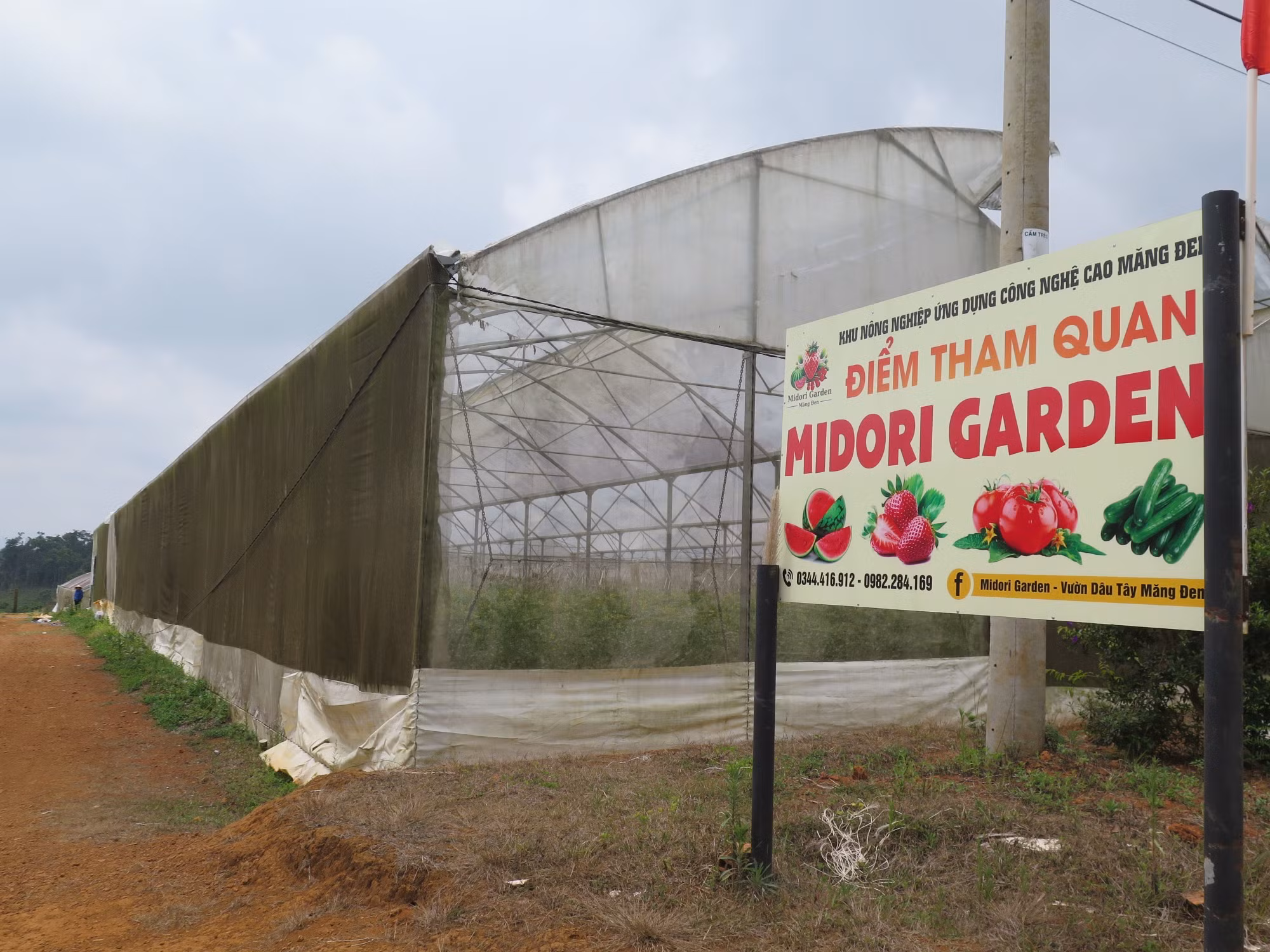 potal-nguoi-dan-kon-tum-kien-nghi-gian-thoi-gian-thu-hoi-nha-mang-canh-tac-nong-nghiep-cong-nghe-cao-7988110.jpg