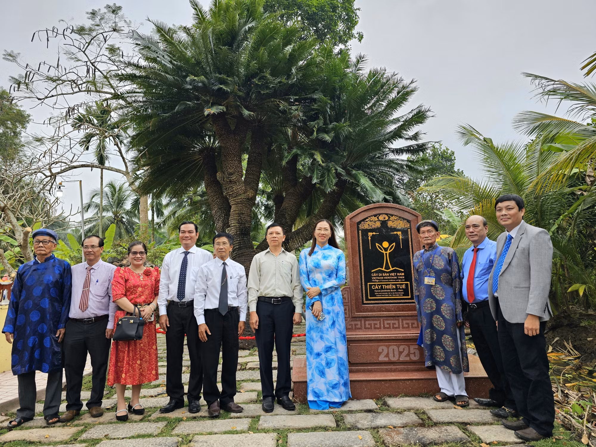potal-cay-thien-tue-10-ngon-doc-ban-200-tuoi-o-ben-tre-duoc-cong-nhan-cay-di-san-viet-nam-7799980.jpg