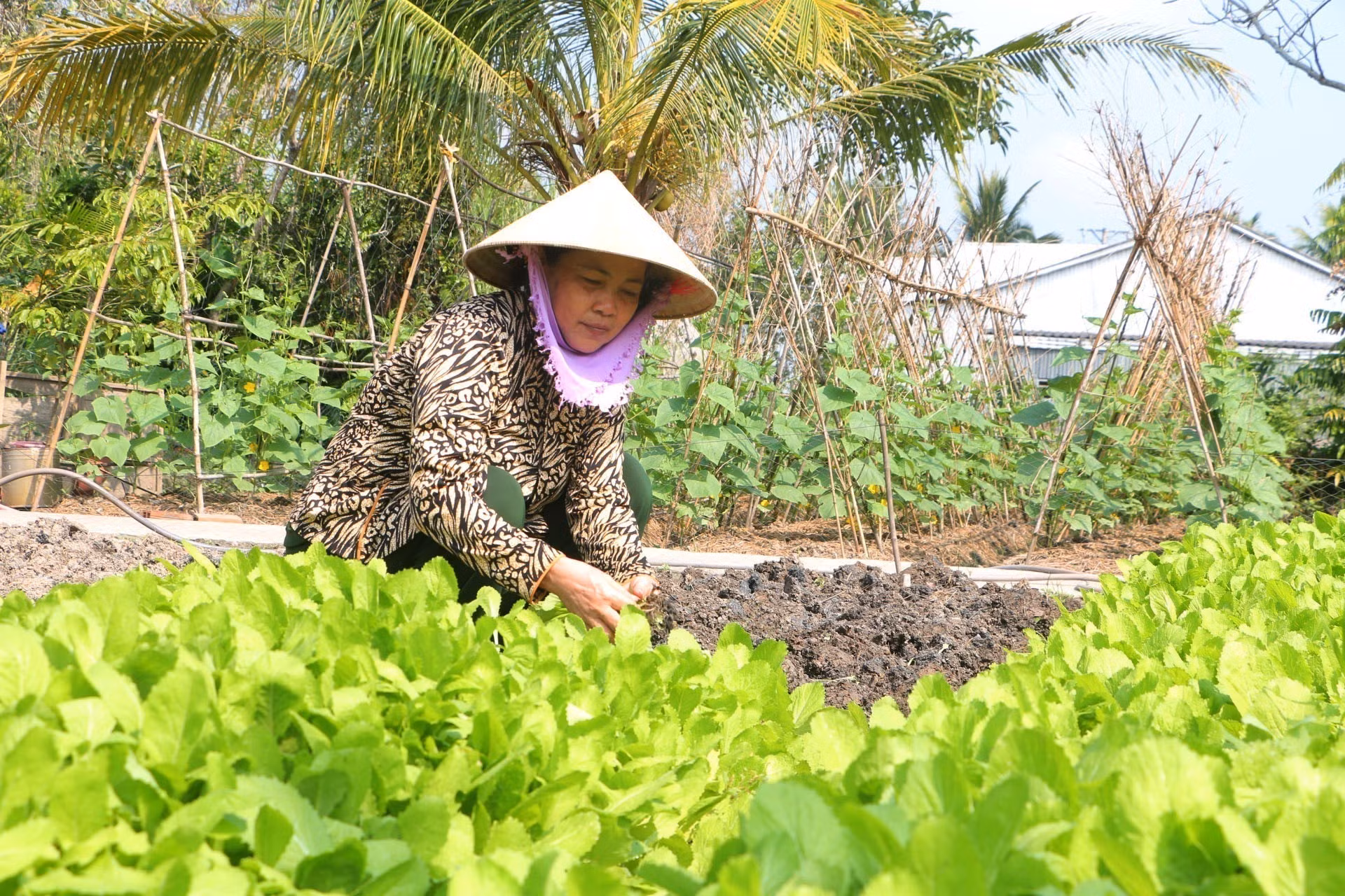 potal-soc-trang-phat-huy-vai-tro-hoi-lien-hiep-phu-nu-trong-giam-ngheo-7793101.jpg
