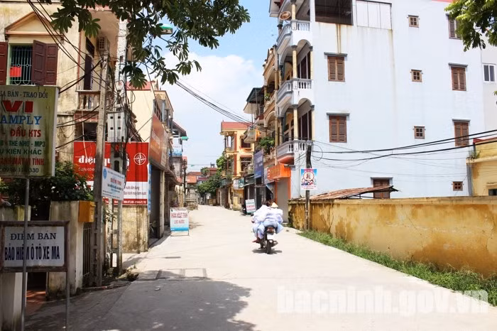 hoaithuong.jpg