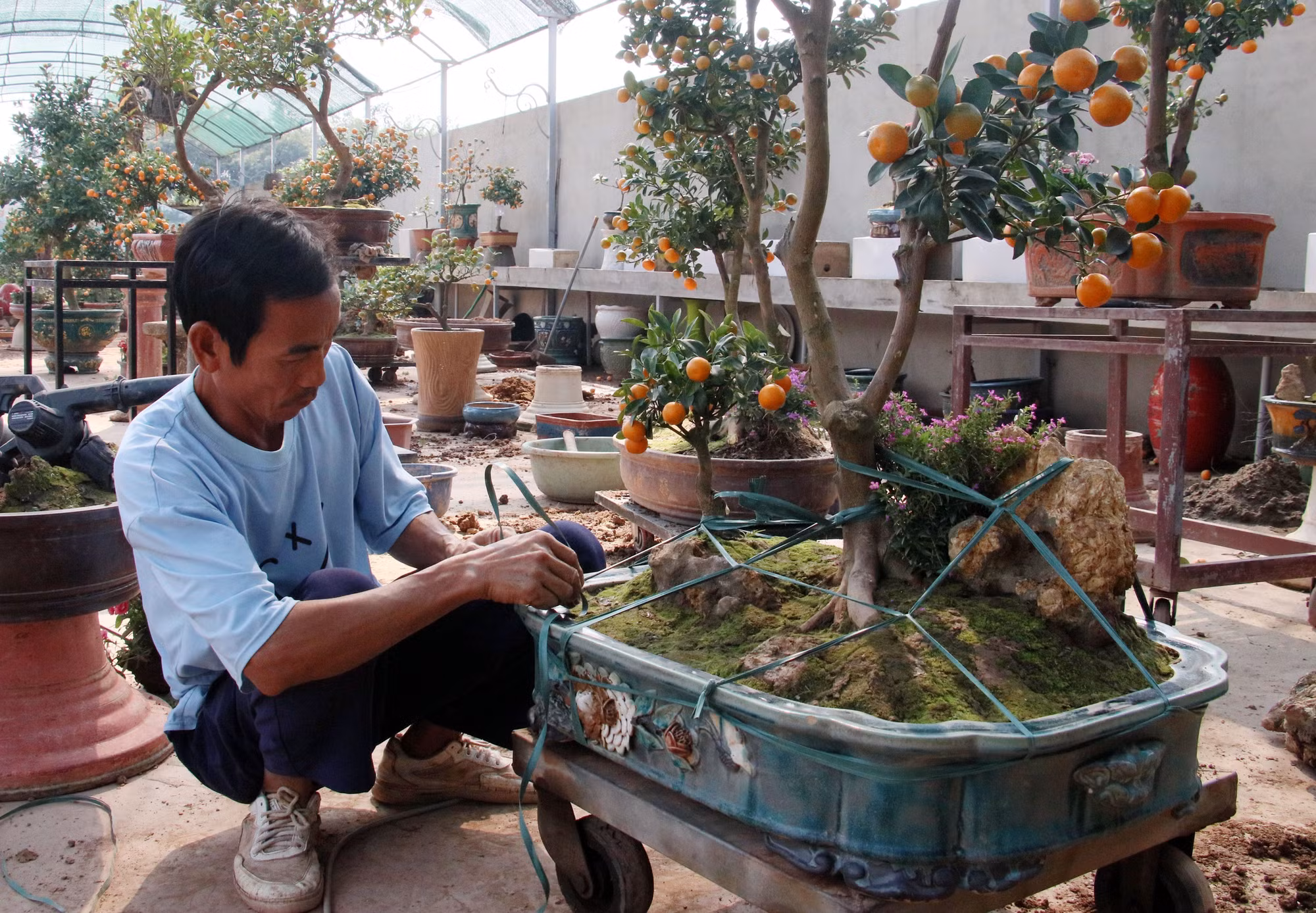 potal-quat-bonsai-hut-khach-dip-tet-7816987.jpg